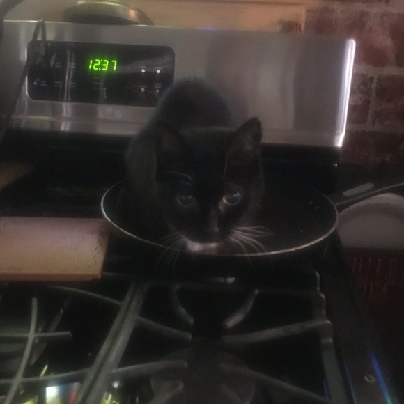 PRICELESS - Picture 7 of 7